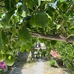 Casa Dei Limoni فيلة *